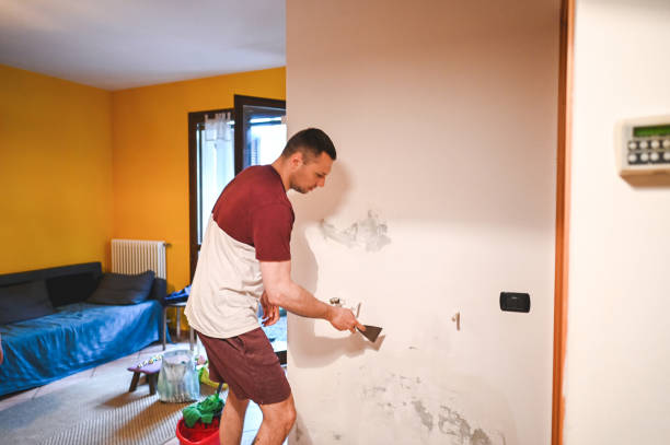 Best Kitchen Mold Remediation in Avondale Estates, GA